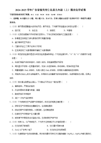 广东省韶关市仁化县九年级上学期期末化学试卷-A4