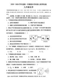 广东省湛江市雷州市2025-2026学年九年级上学期1月期末考试化学试题