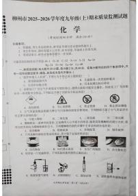 广西壮族自治区柳州市2025-2026学年九年级上学期期末质量监测化学试题