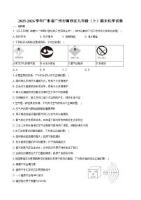2025-2026学年广东省广州市南沙区九年级（上）期末化学试卷（含答案）