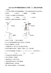 2025-2026学年青海省海东市九年级（上）期末化学试卷（含答案）