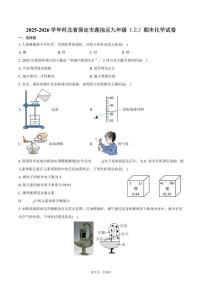 2025-2026学年河北省保定市莲池区九年级（上）期末化学试卷（含答案）