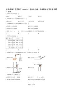 江苏省镇江市丹阳市2024-2025学年九年级上学期期末考试化学试卷（含答案）