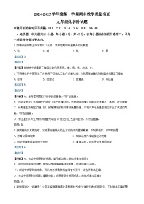 广东省潮州市潮安区九年级上学期期末统考化学试题（解析版）-A4