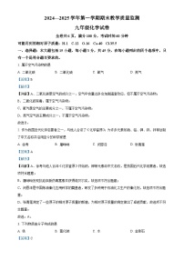 广东省广州市惠东县九年级上学期期末化学试题（解析版）-A4