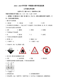 广东省广州市惠东县九年级上学期期末化学试题（原卷版）-A4