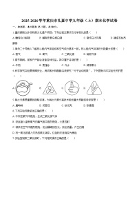 2025-2026学年重庆市礼嘉中学九年级（上）期末化学试卷-自定义类型