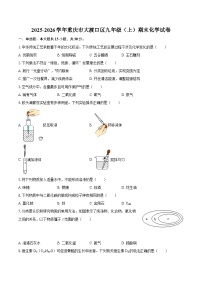 2025-2026学年重庆市大渡口区九年级（上）期末化学试卷-自定义类型