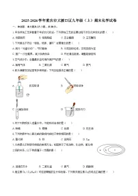 2025-2026学年重庆市大渡口区九年级（上）期末化学试卷-自定义类型