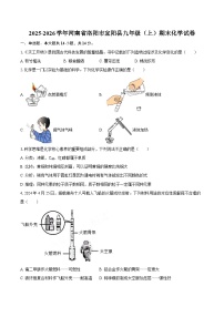 2025-2026学年河南省洛阳市宜阳县九年级（上）期末化学试卷-自定义类型