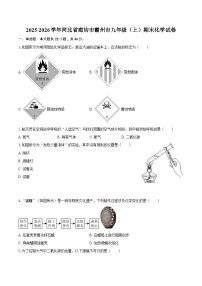 2025-2026学年河北省廊坊市霸州市九年级（上）期末化学试卷-自定义类型