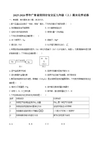 2025-2026学年广东省深圳市宝安区九年级（上）期末化学试卷-自定义类型
