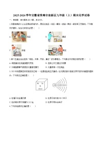 2025-2026学年安徽省淮南市高新区九年级（上）期末化学试卷-自定义类型