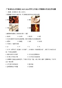 广东省汕头市龙湖区2025-2026学年九年级上学期期末考试化学试题-自定义类型