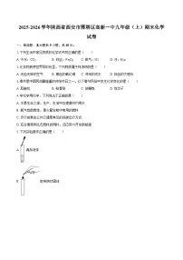 2025-2026学年陕西省西安市雁塔区高新一中九年级（上）期末化学试卷-自定义类型
