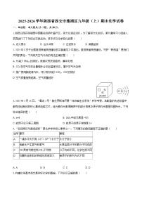 2025-2026学年陕西省西安市莲湖区九年级（上）期末化学试卷-自定义类型
