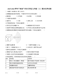 2025-2026学年广东省广州市天河区九年级（上）期末化学试卷-自定义类型