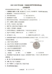 广东省廉江市第八中学2025-2026学年九年级上学期期末考试化学试题
