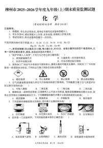 广西壮族自治区柳州市2025-2026学年九年级上学期期末质量监测化学试题
