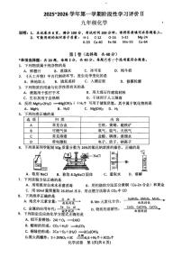 江苏省镇江市扬中市2025-2026学年九年级上学期期末考试化学试卷