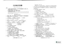 山东省青岛市城阳区2025-2026学年九年级上学期1月期末化学试题