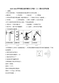 2025-2026学年湖北省孝感市九年级（上）期末化学试卷（含答案）