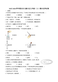 2025-2026学年重庆市大渡口区九年级（上）期末化学试卷（含答案）