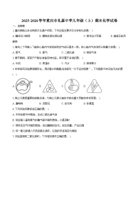 2025-2026学年重庆市礼嘉中学九年级（上）期末化学试卷（含答案）