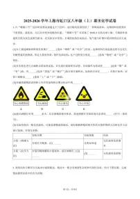 2025-2026学年上海市虹口区八年级（上）期末化学试卷（含答案）