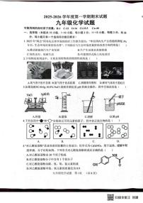 2025-2026学年山东省菏泽市东明县九年级上学期期末化学试卷试题（含答案）