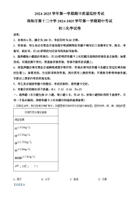 广东省珠海市第十三中学九年级上学期11月期中考试化学试题（解析版）-A4