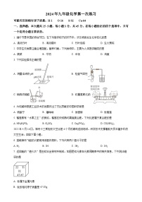 广东省茂名市崇文学校九年级下学期3月考试化学试题（原卷版）-A4