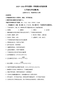 陕西省宝鸡市凤翔区2025-2026学年九年级上学期期末考试化学试卷（原卷版+解析版）