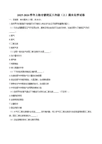 2025-2026学年上海市普陀区八年级（上）期末化学试卷-自定义类型