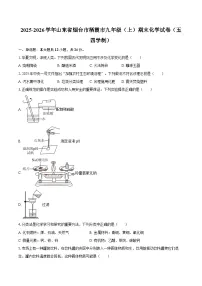 2025-2026学年山东省烟台市栖霞市九年级（上）期末化学试卷（五四学制）-自定义类型