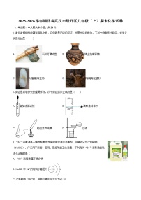 2025-2026学年湖北省武汉市经开区九年级（上）期末化学试卷-自定义类型