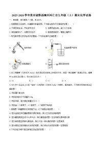 2025-2026学年贵州省黔西南州兴仁市九年级（上）期末化学试卷-自定义类型