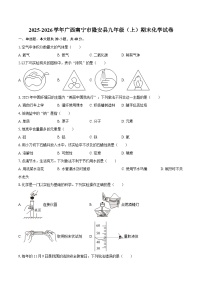 2025-2026学年广西南宁市隆安县九年级（上）期末化学试卷-自定义类型