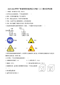 2025-2026学年广东省深圳市盐田区九年级（上）期末化学试卷-自定义类型