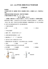 四川省成都市成华区2025-2026学年九年级上学期期末化学试卷（原卷版+解析版）