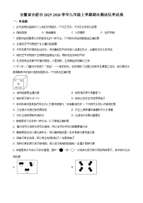 安徽省合肥市2025-2026学年九年级上学期期末测试化学试卷（原卷版+解析版）