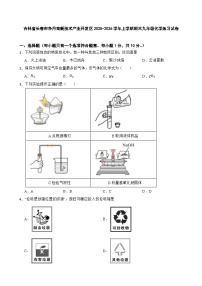 吉林省长春市净月高新技术产业开发区2025-2026学年上学期期末九年级化学练习试卷