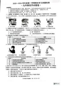 安徽省芜湖市无为市2025-2026学年九年级上学期1月期末化学试题