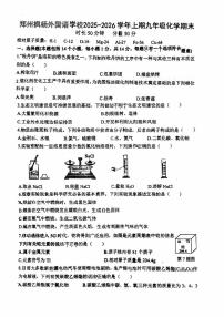 河南省郑州市枫杨外国语、金水外国语、朗悦慧等5校联考2025-2026学年九年级上学期期末化学试题