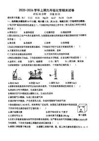 河南省郑州市枫杨外国语、金水外国语、朗悦慧等5校联考2025-2026学年上学期九年级期末考试化学试题