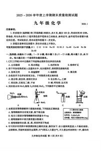 山东省临沂市兰山区2025-2026学年九年级上学期1月期末化学试题