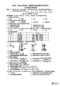 江苏省镇江市外国语学校2025-2026学年九年级上学期期末考试化学试卷