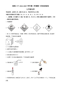 广东省湛江市徐闻县第三中学九年级下学期第一次月考化学试题-A4