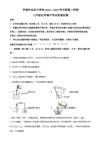 广东省深圳市罗湖外语学校初中学校九年级下学期期中化学试题（原卷版）-A4