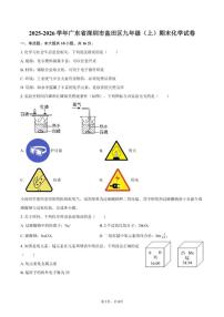 2025-2026学年广东省深圳市盐田区九年级（上）期末化学试卷（含答案）